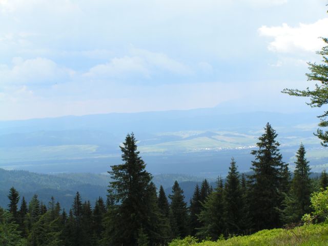 wycieczka (39)
